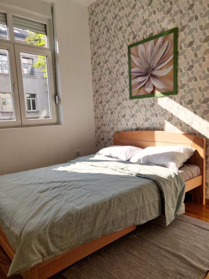 Lux Center Of Belgrade 2 Bedrooms, Sleeps 6 - Free Parking Luaran gambar